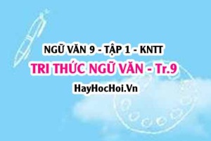 Soạn bài Tri thức ngữ văn trang 9 Ngữ văn lớp 9 tập 1 Kết nối tri thức